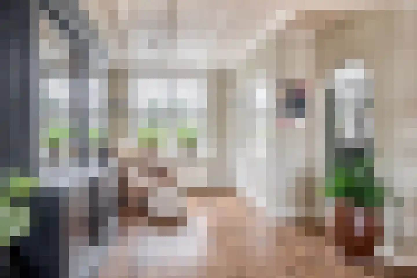 Jhr.Groeninx van Zoelenstraat 28 Ridderkerk thumbnail 17