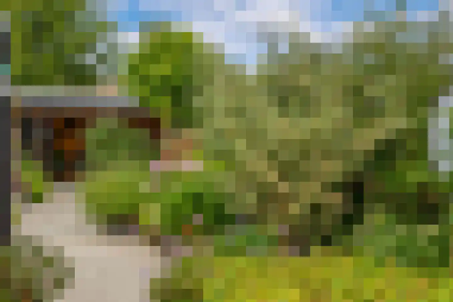 Jhr.Groeninx van Zoelenstraat 28 Ridderkerk thumbnail 21