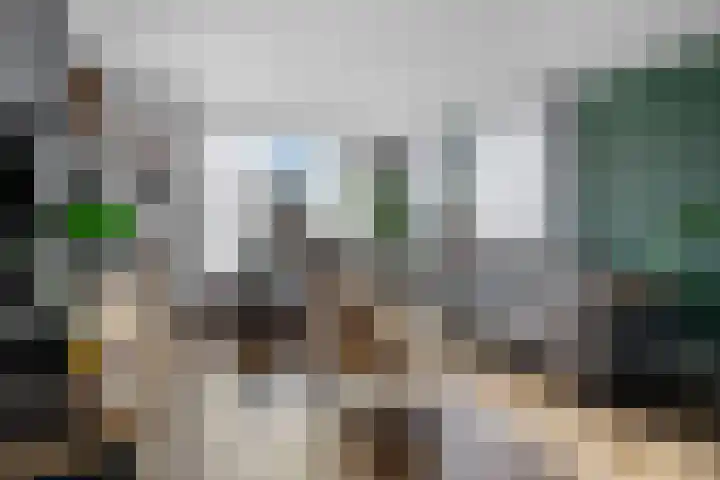 Jhr. M.W.C. de Jongestraat 4 Klazienaveen thumbnail 7