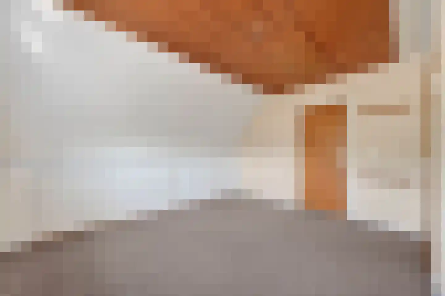 Jhr. M.W.C. de Jongestraat 58 Klazienaveen thumbnail 30