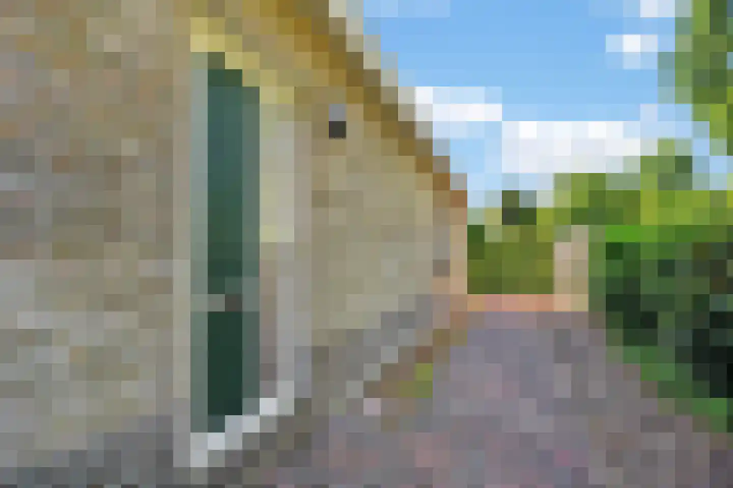 Jhr. M.W.C. de Jongestraat 58 Klazienaveen thumbnail 37