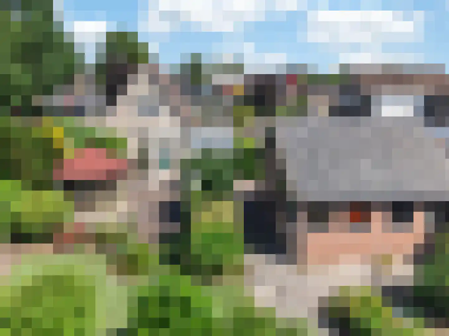 Jhr. M.W.C. de Jongestraat 58 Klazienaveen thumbnail 4