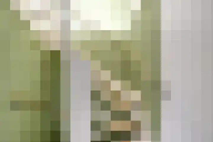 Jhr Mr A F de Savornin Lohmanstraat 115 Zuidland thumbnail 20