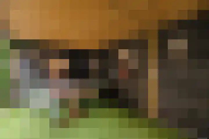 Jhr Mr A F de Savornin Lohmanstraat 115 Zuidland thumbnail 29