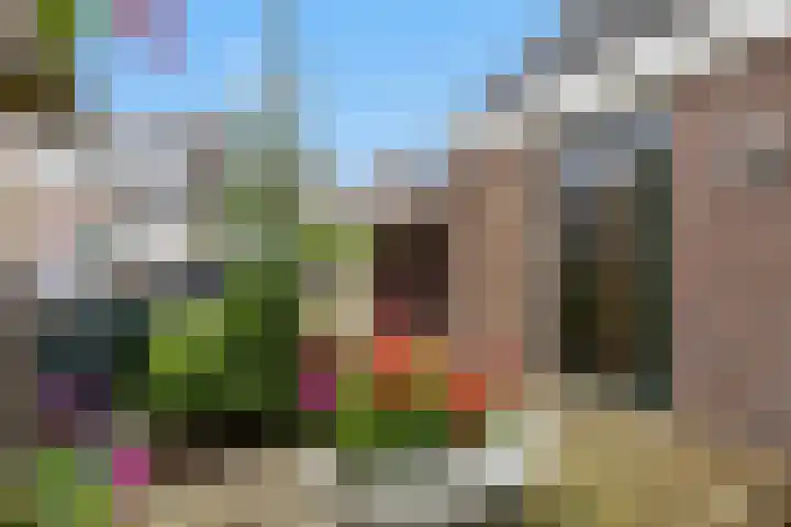 Jhr Mr A F de Savornin Lohmanstraat 115 Zuidland thumbnail 30