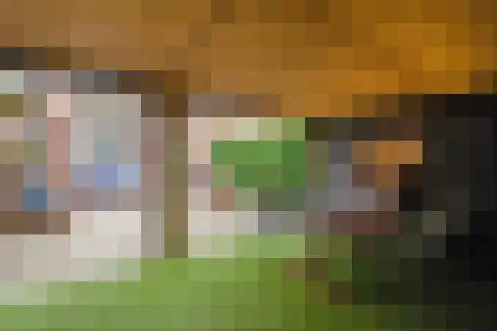 Jhr Mr A F de Savornin Lohmanstraat 115 Zuidland thumbnail 4