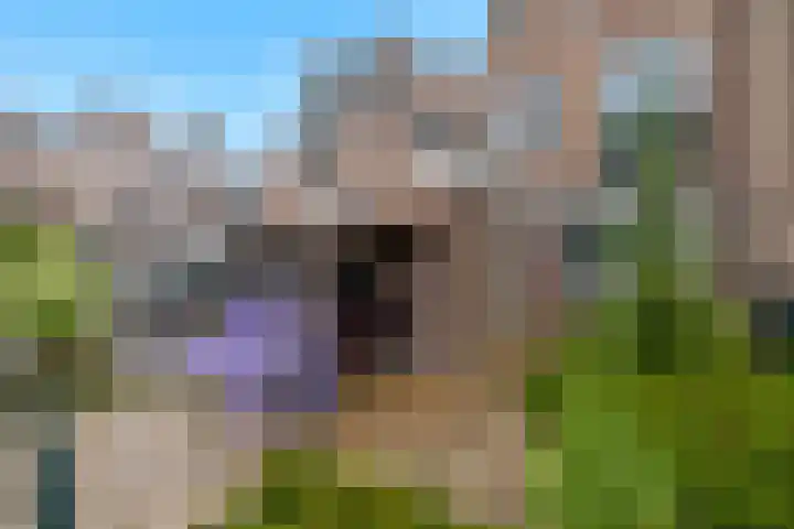 Jhr Mr A F de Savornin Lohmanstraat 115 Zuidland thumbnail 5