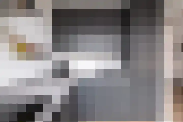 Jhr Mr A F de Savornin Lohmanstraat 13 Zuidland thumbnail 10