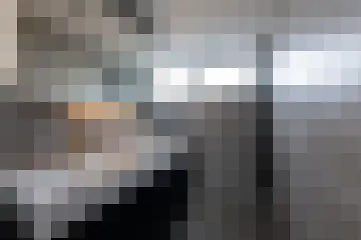 Jhr Mr A F de Savornin Lohmanstraat 13 Zuidland thumbnail 15