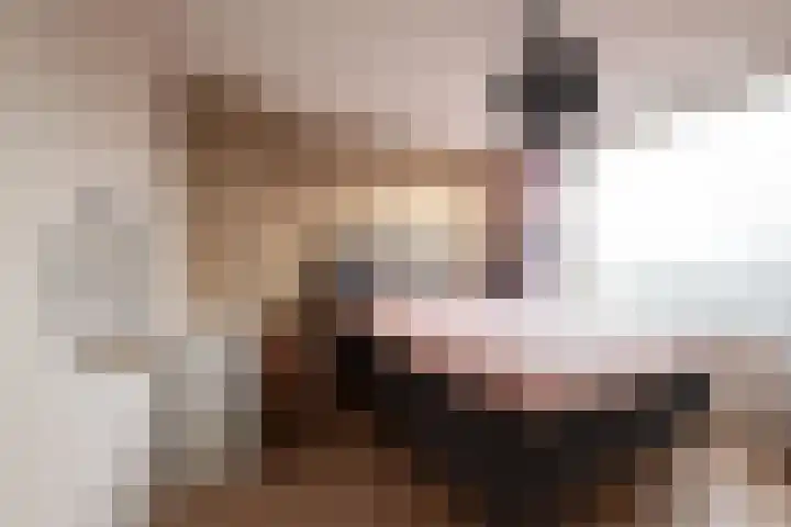 Jhr Mr A F de Savornin Lohmanstraat 13 Zuidland thumbnail 19