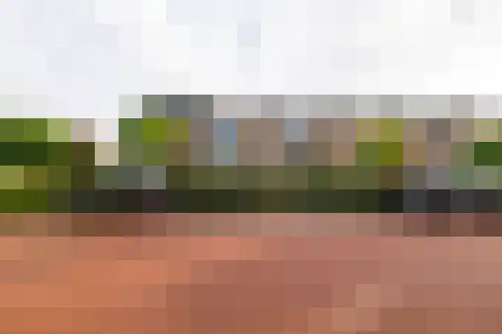 Jhr Mr A F de Savornin Lohmanstraat 13 Zuidland thumbnail 27