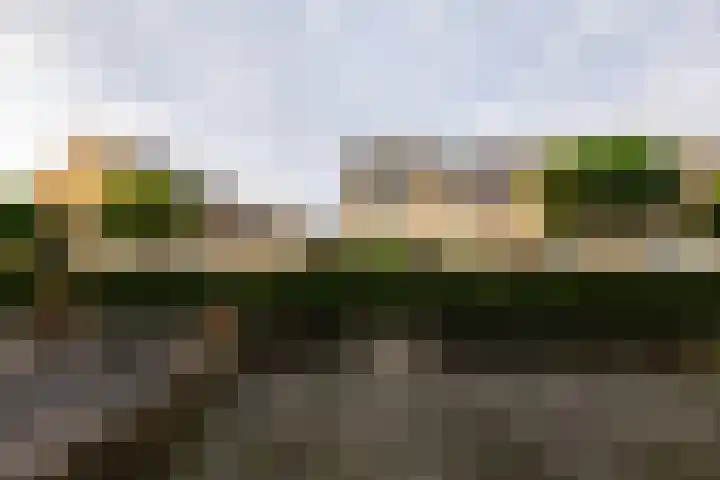 Jhr Mr A F de Savornin Lohmanstraat 13 Zuidland thumbnail 33