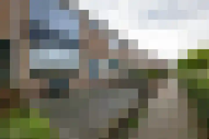 Jhr Mr A F de Savornin Lohmanstraat 13 Zuidland thumbnail 35