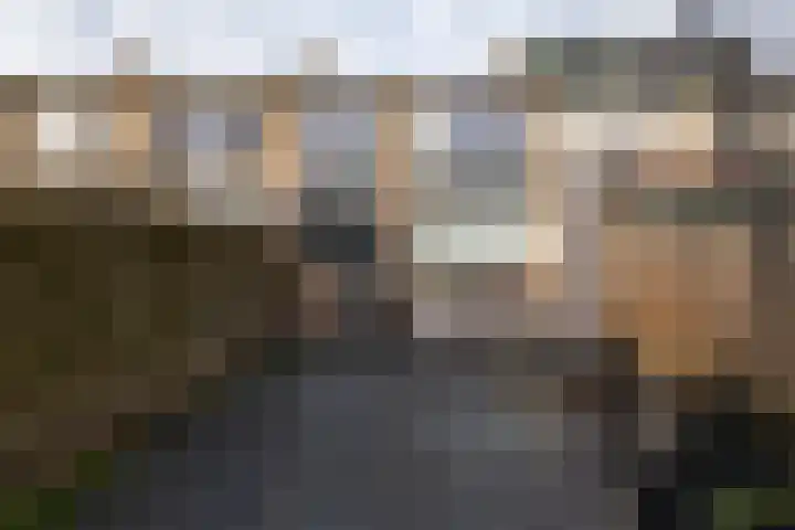 Jhr Mr A F de Savornin Lohmanstraat 13 Zuidland thumbnail 36