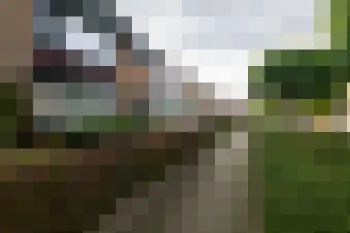 Jhr Mr A F de Savornin Lohmanstraat 13 Zuidland thumbnail 37