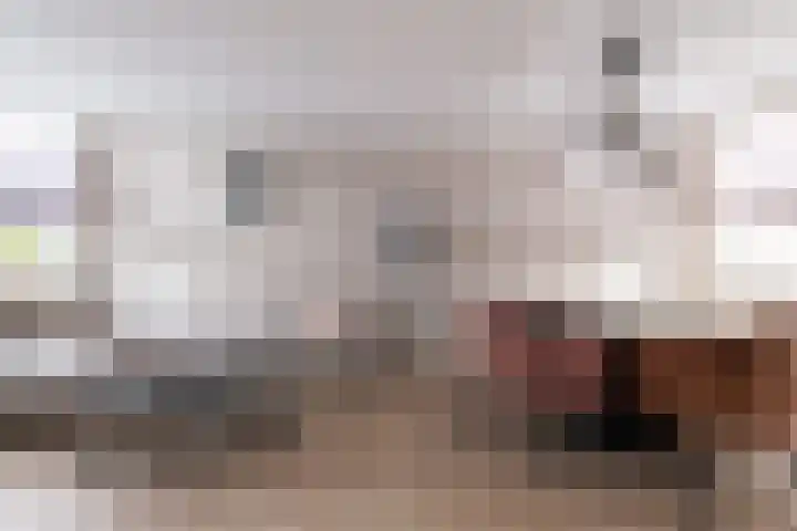 Jhr Mr A F de Savornin Lohmanstraat 13 Zuidland thumbnail 4