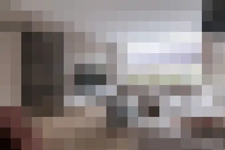 Jhr Mr A F de Savornin Lohmanstraat 13 Zuidland thumbnail 5