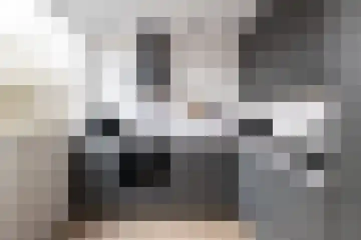 Jhr Mr A F de Savornin Lohmanstraat 13 Zuidland thumbnail 8