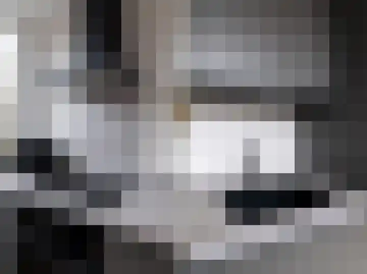 Jhr Mr A F de Savornin Lohmanstraat 13 Zuidland thumbnail 9