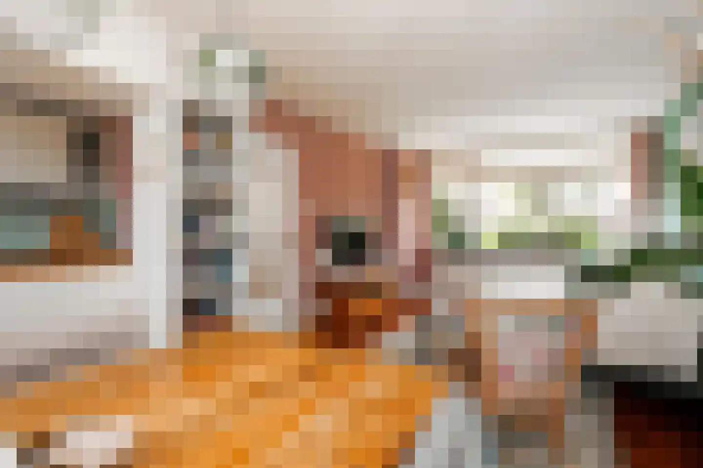 Jhr Mr A F de Savornin Lohmanstraat 19 Zuidland thumbnail 10