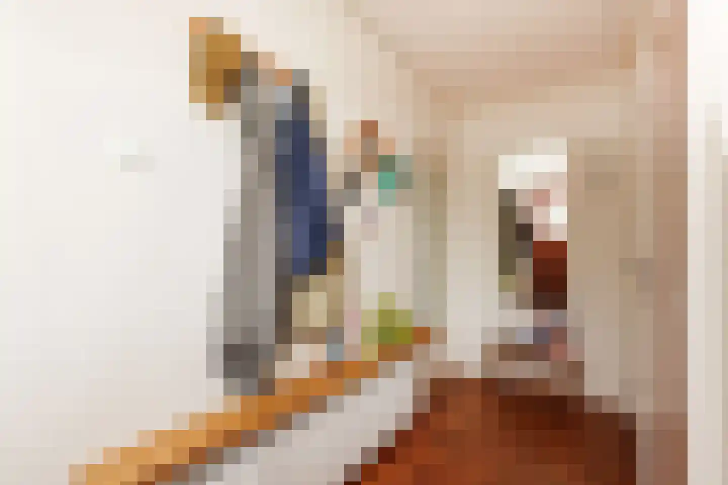 Jhr Mr A F de Savornin Lohmanstraat 19 Zuidland thumbnail 13