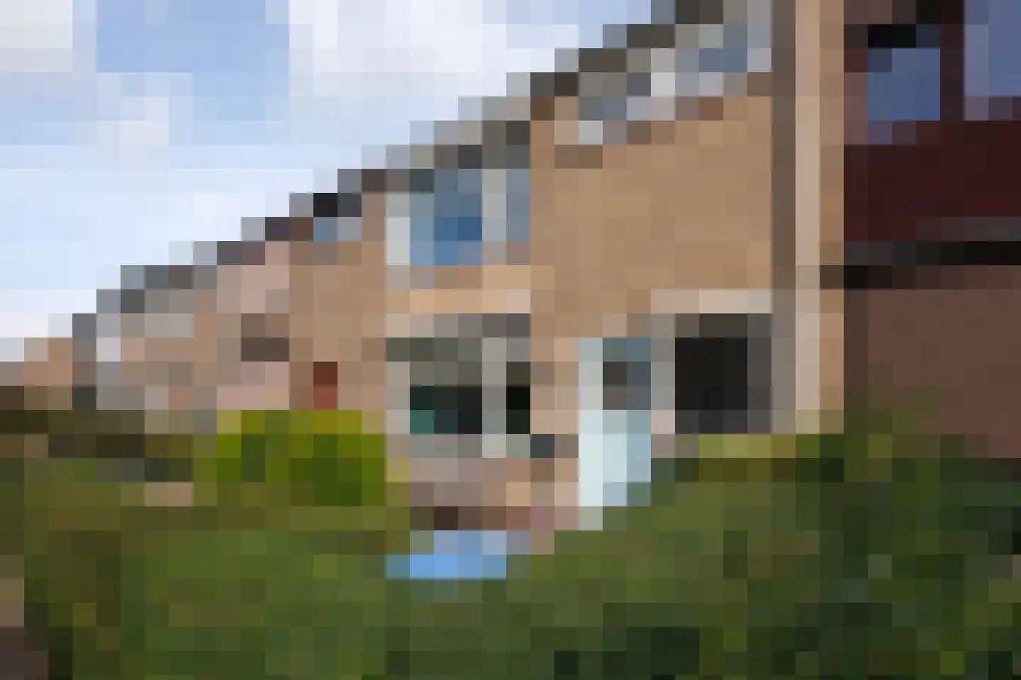 Jhr Mr A F de Savornin Lohmanstraat 19 Zuidland thumbnail 28