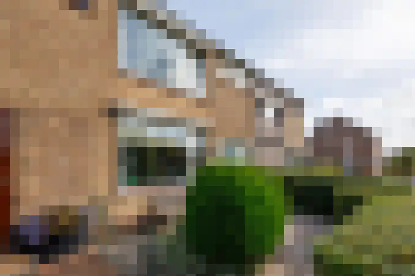 Jhr Mr A F de Savornin Lohmanstraat 19 Zuidland thumbnail 29