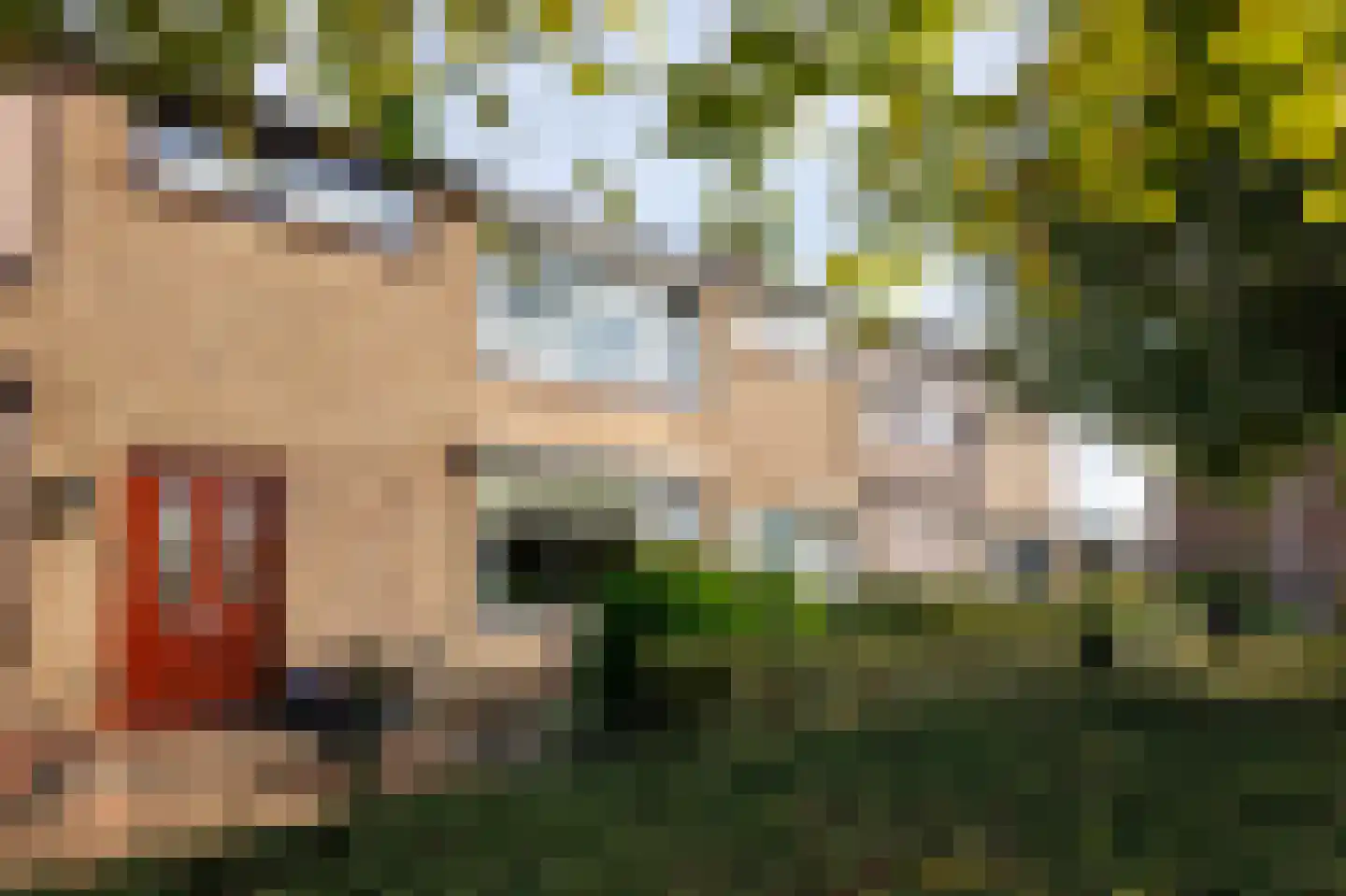 Jhr Mr A F de Savornin Lohmanstraat 19 Zuidland thumbnail 32
