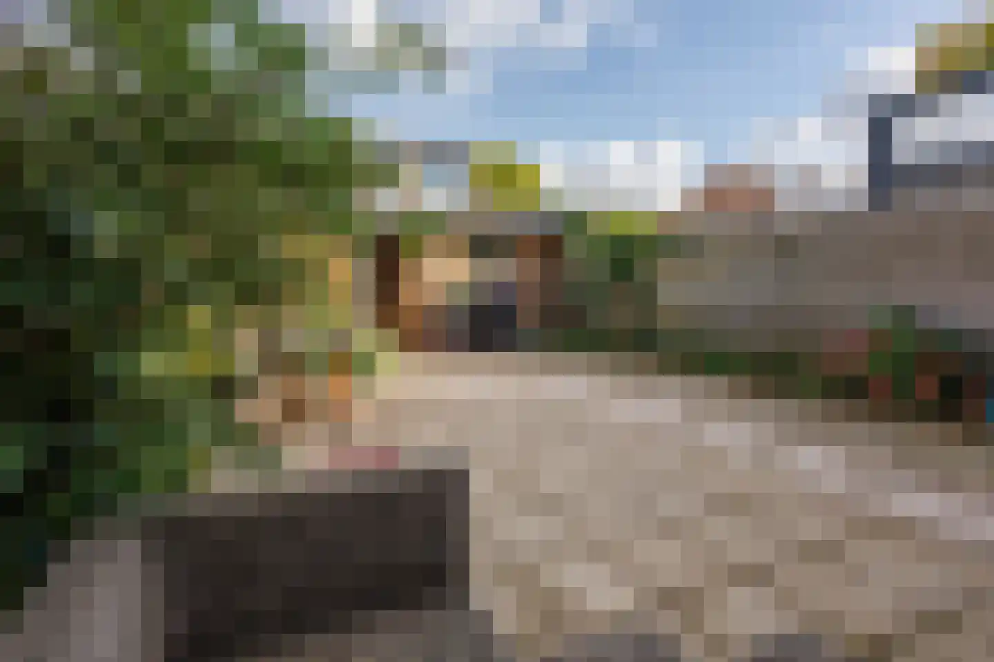 Jhr Mr A F de Savornin Lohmanstraat 19 Zuidland thumbnail 34