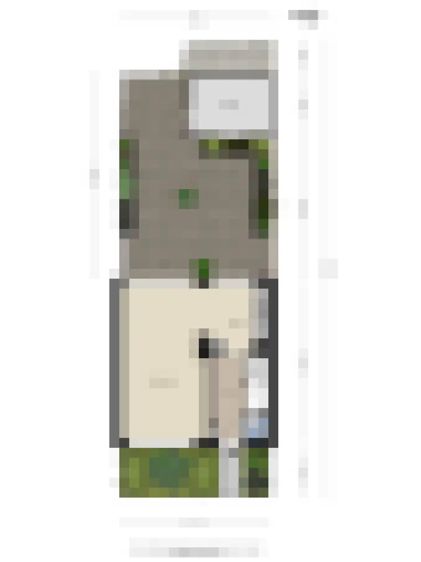 Jhr Mr A F de Savornin Lohmanstraat 3 Zuidland thumbnail 26