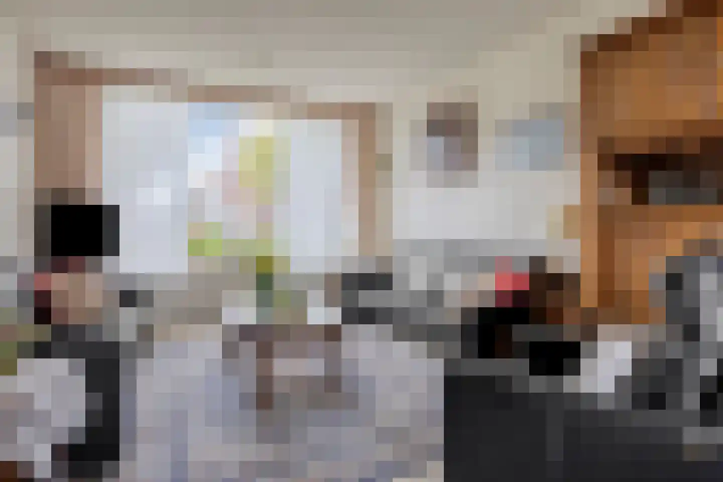 Jhr Mr A F de Savornin Lohmanstraat 3 Zuidland thumbnail 6