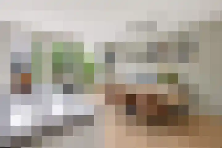 Jhr Mr A F de Savornin Lohmanstraat 45 Zuidland thumbnail 12
