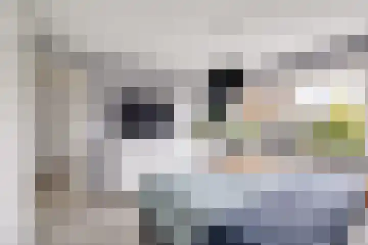 Jhr Mr A F de Savornin Lohmanstraat 45 Zuidland thumbnail 27