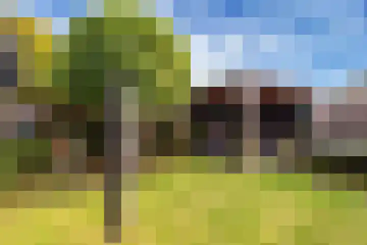 Jhr Mr A F de Savornin Lohmanstraat 45 Zuidland thumbnail 38