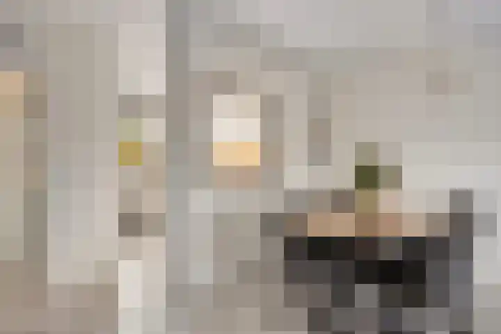 Jhr Mr A F de Savornin Lohmanstraat 88 Zuidland thumbnail 12