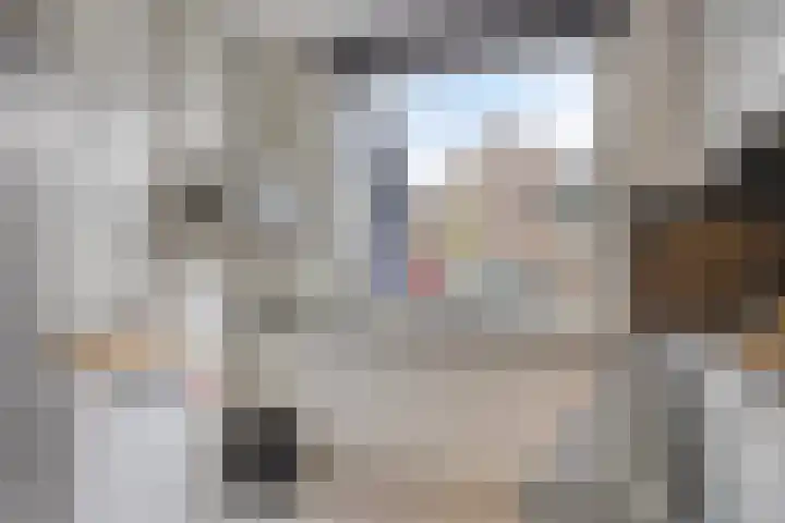 Jhr Mr A F de Savornin Lohmanstraat 88 Zuidland thumbnail 14