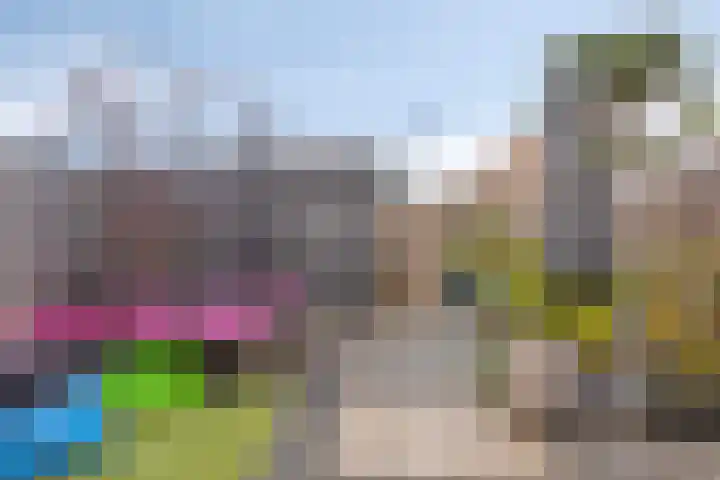 Jhr Mr A F de Savornin Lohmanstraat 88 Zuidland thumbnail 26