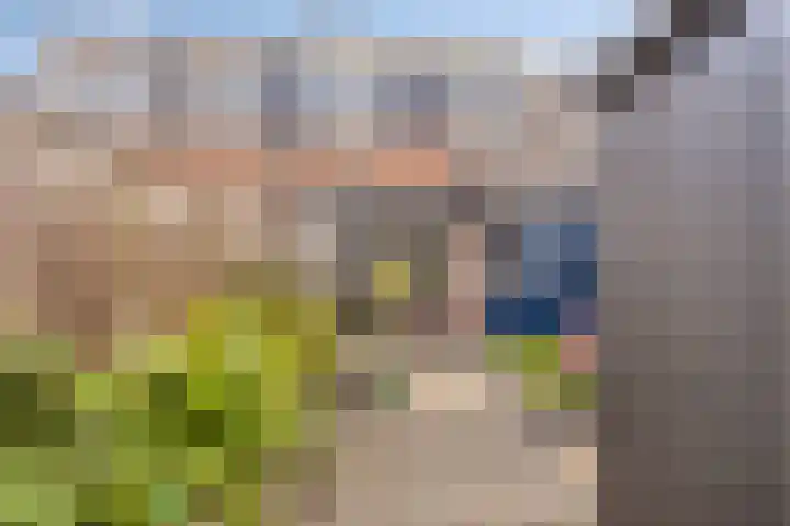 Jhr Mr A F de Savornin Lohmanstraat 88 Zuidland thumbnail 27