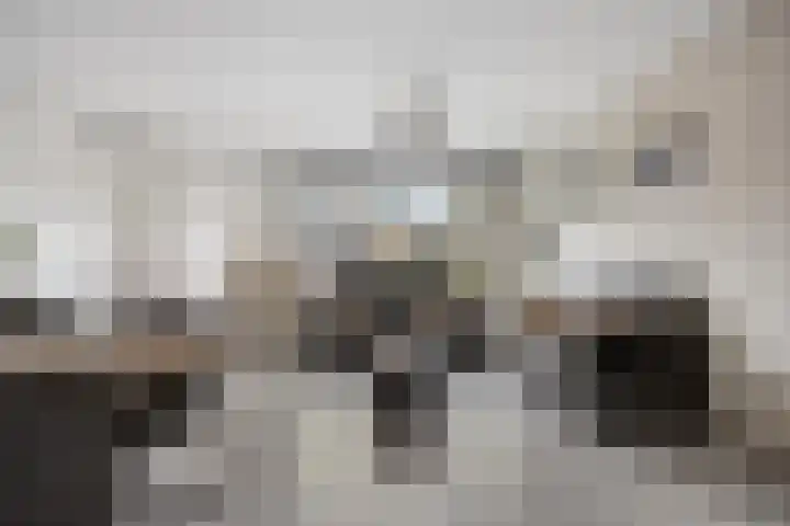 Jhr Mr A F de Savornin Lohmanstraat 88 Zuidland thumbnail 8