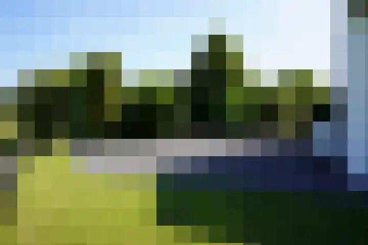 Jhr. Mr. de Casembrootstraat 27 Groede thumbnail 44