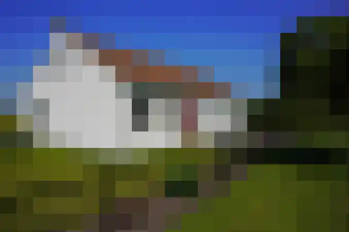 Jhr. Mr. de Casembrootstraat 27 Groede thumbnail 50