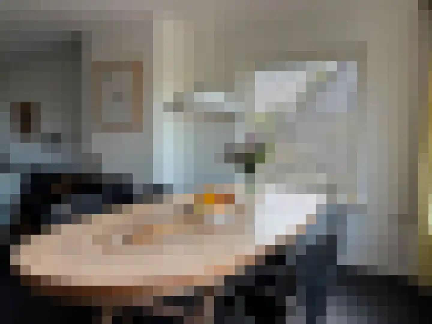 Jhr. Mr. de Casembrootstraat 27 Groede thumbnail 8