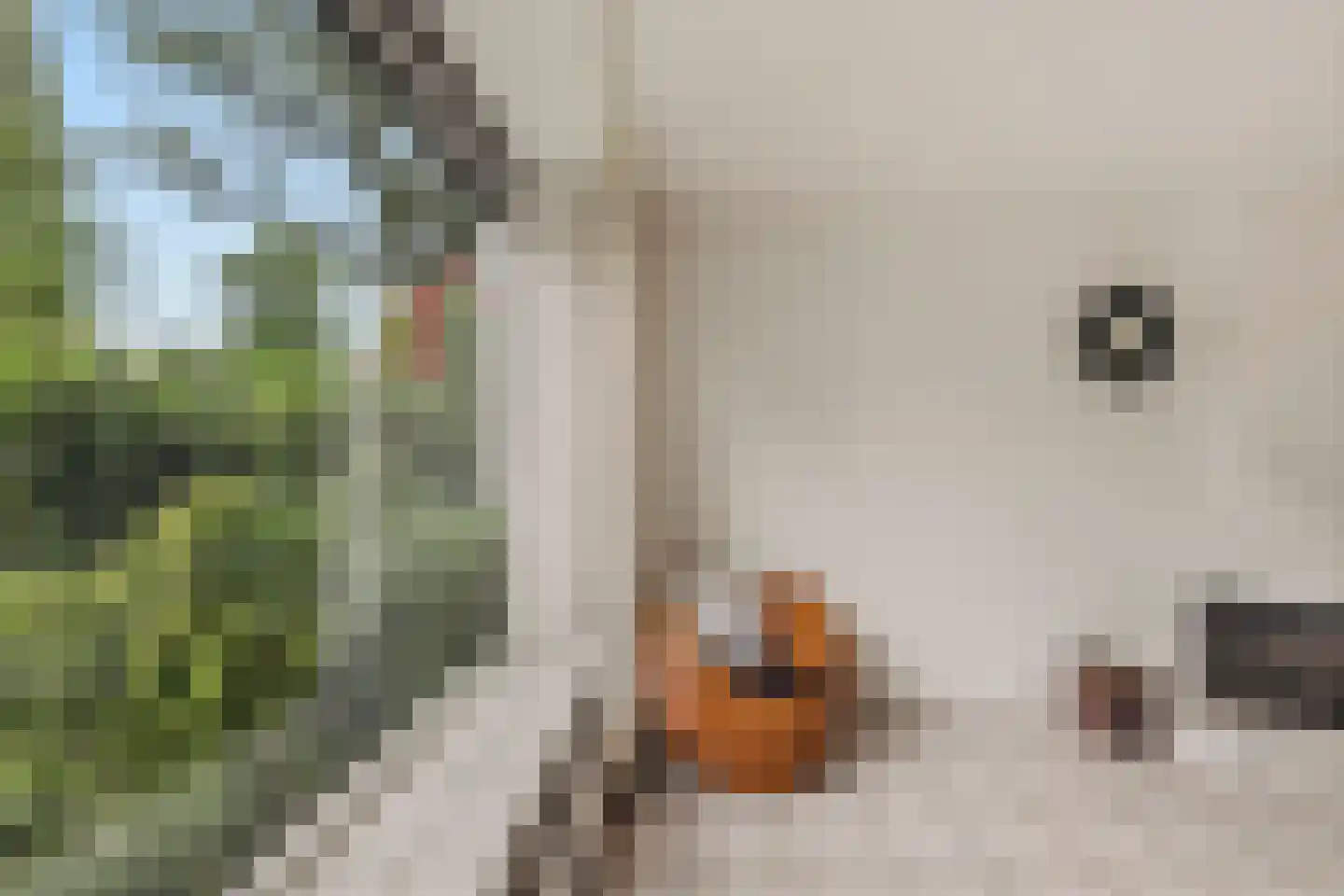 Jhr.Mr.Dr. H.A. van Karnebeeklaan 46 Amstelveen thumbnail 5