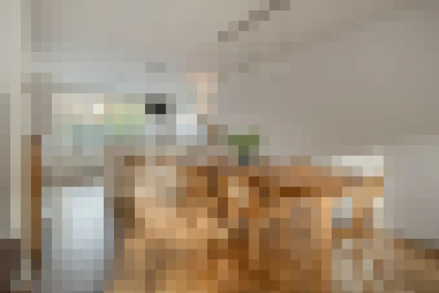 Jhr.Mr.Dr. H.A. van Karnebeeklaan 52 Amstelveen thumbnail 11
