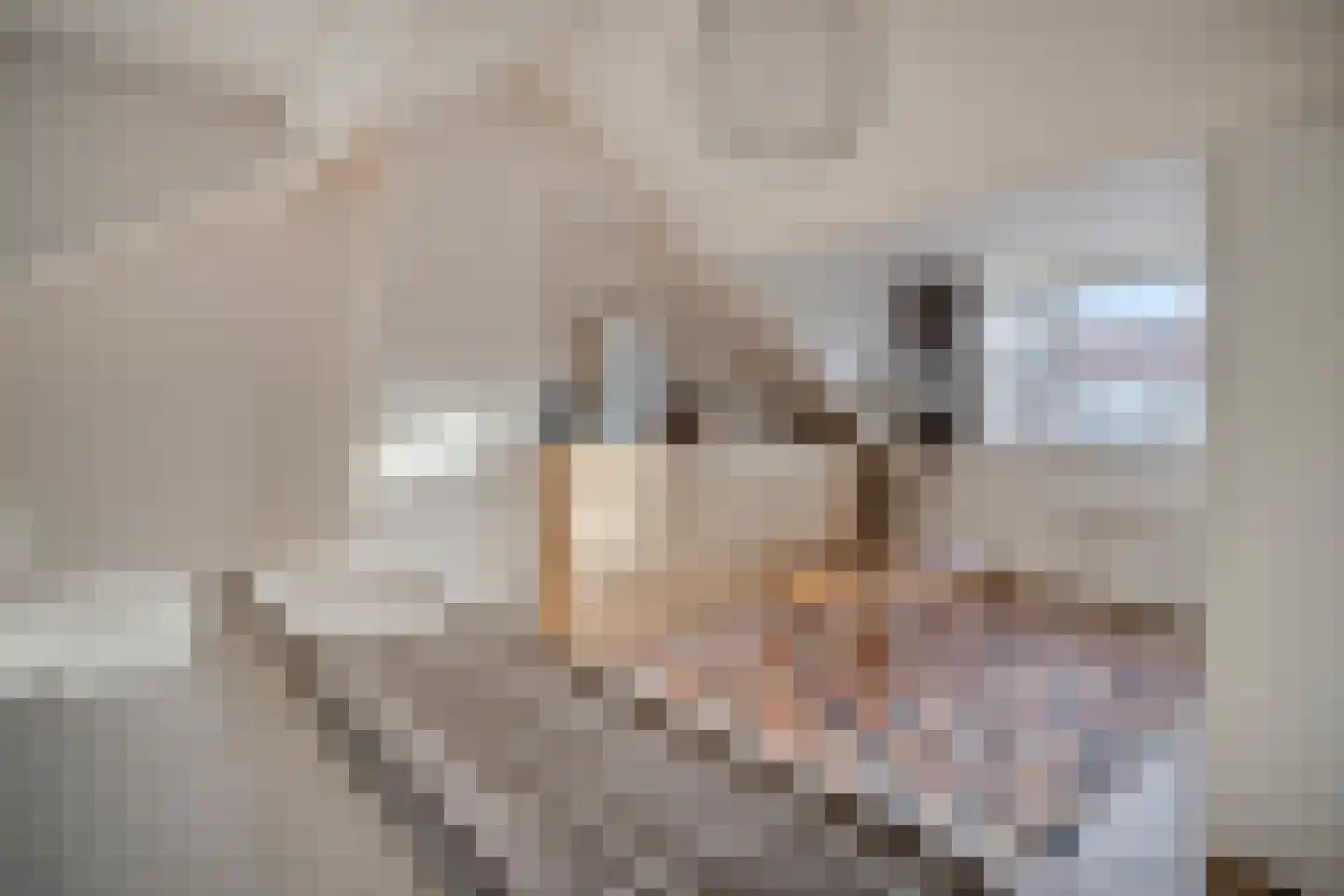 Jhr.Mr.Dr. H.A. van Karnebeeklaan 52 Amstelveen thumbnail 23