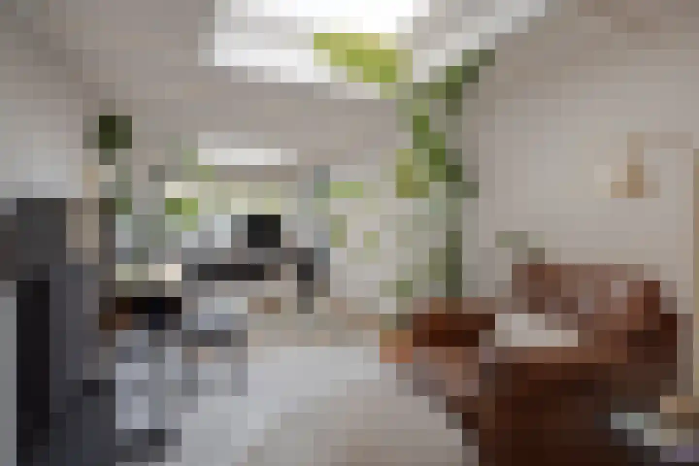 Jhr.Mr.Dr. H.A. van Karnebeeklaan 52 Amstelveen thumbnail 9