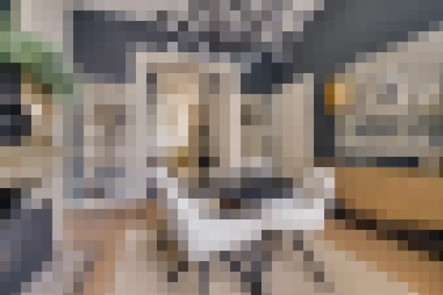 Jhr. Mr. G.W. Molleruslaan 2 Apeldoorn thumbnail 20