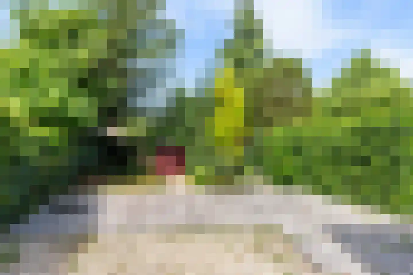 Jhr. Mr. G.W. Molleruslaan 3 Apeldoorn thumbnail 21