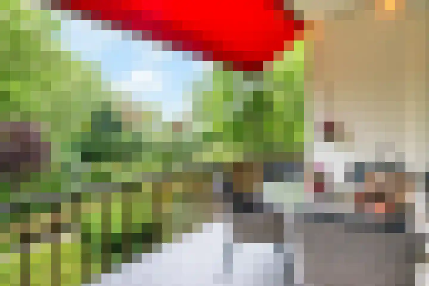 Jhr. Nedermeijer van Rosenthalweg 28 Oosterbeek thumbnail 11