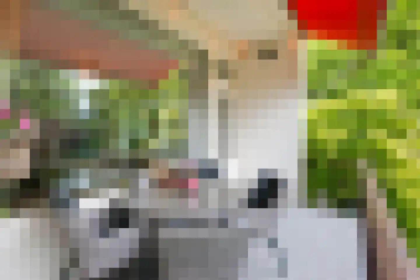 Jhr. Nedermeijer van Rosenthalweg 28 Oosterbeek thumbnail 13